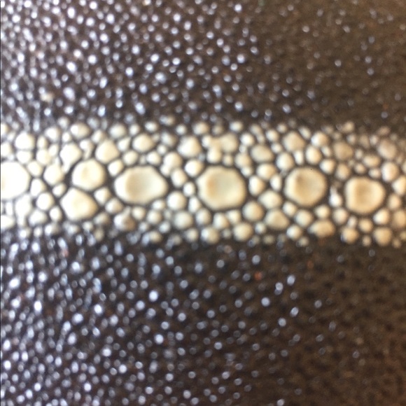 Shagreen Belt Buckle - Picture 4 of 6